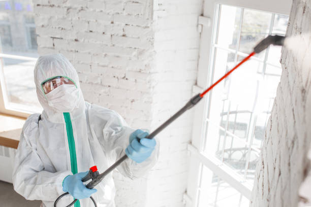 Environmental Consulting for Mold Prevention in Whittingham, NJ